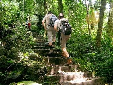 The Ultimate Guide to Trekking Tours with Boat Cruises in Vietnam